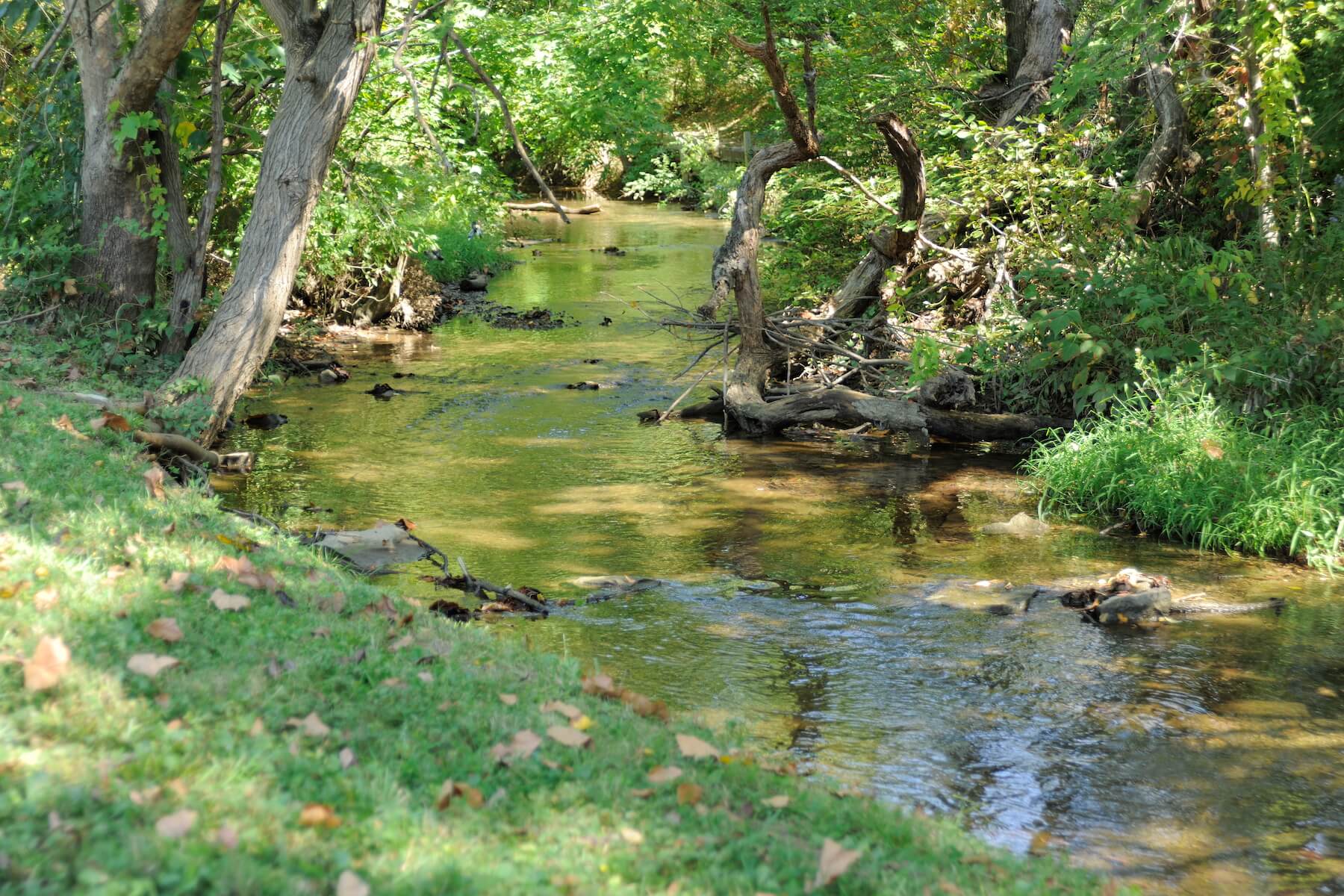 15-View of Freeman Creek